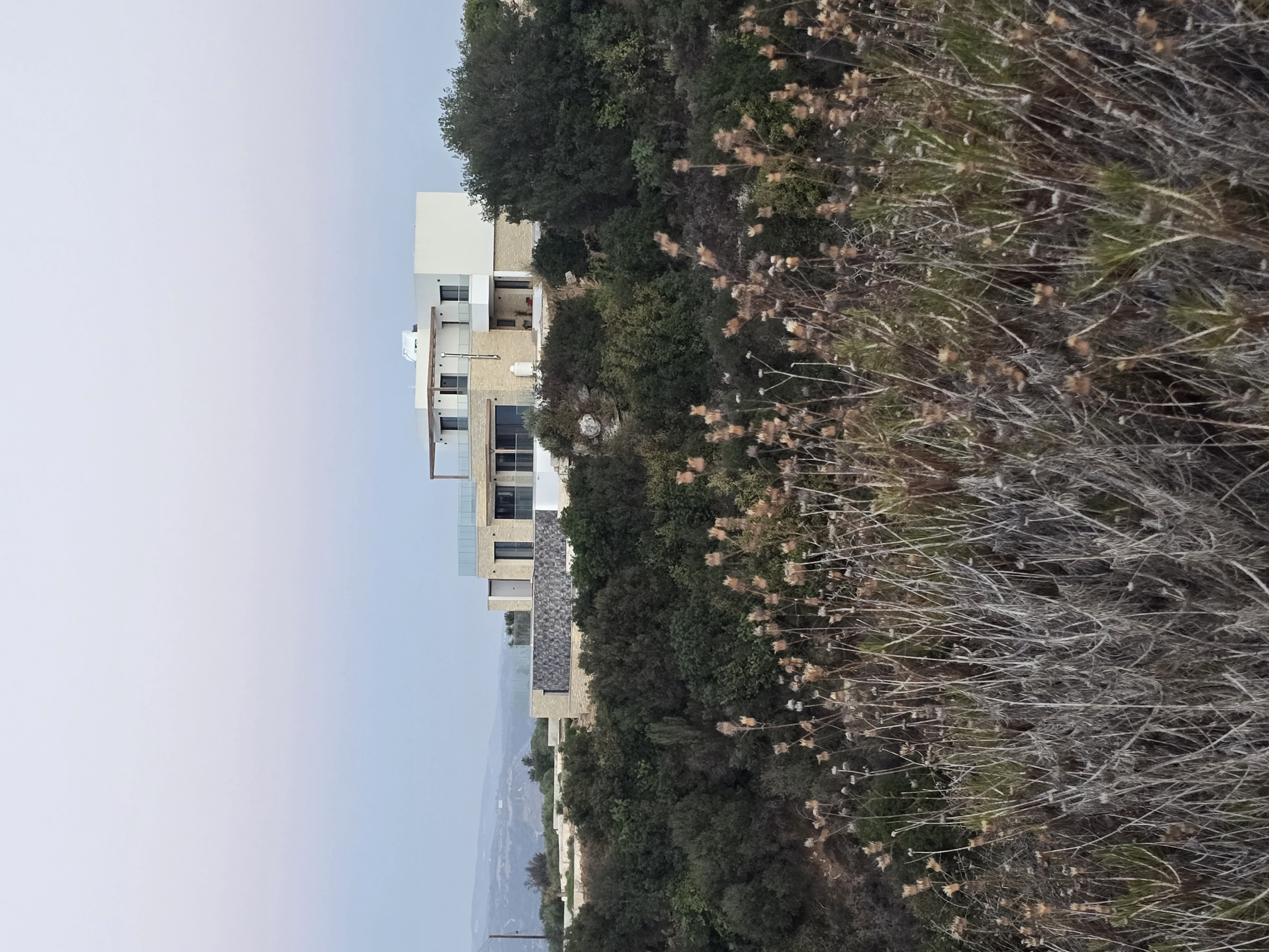 secluded luxury villa olive trees